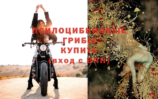 дурь Алексеевка