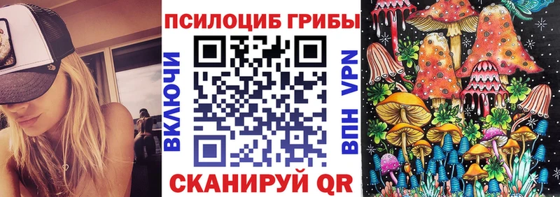гидра как войти  купить наркоту  Красногорск  Псилоцибиновые грибы Cubensis 
